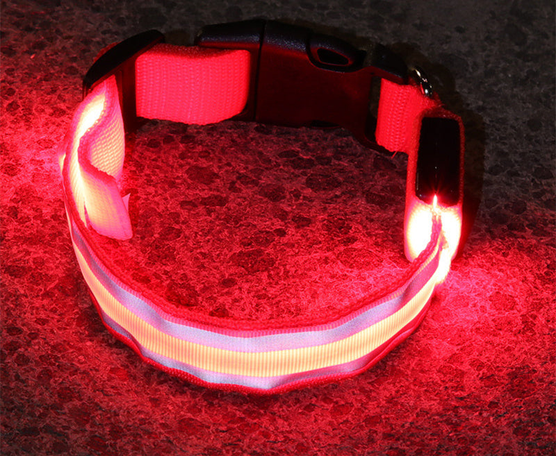 LED Leuchthalsband für Hunde, Sicherheitshalsband