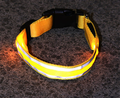 LED Leuchthalsband für Hunde, Sicherheitshalsband