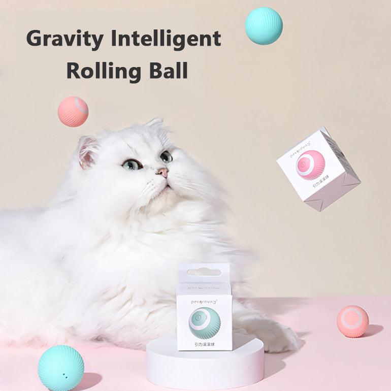 Interaktives Katzenspielzeug intelligenter Ball