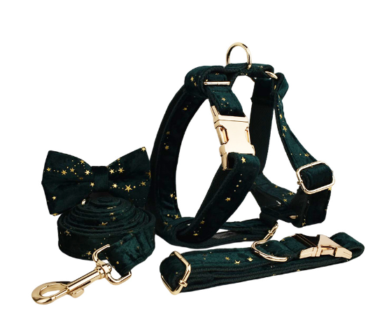 Luxus Hundehalsband aus Samt