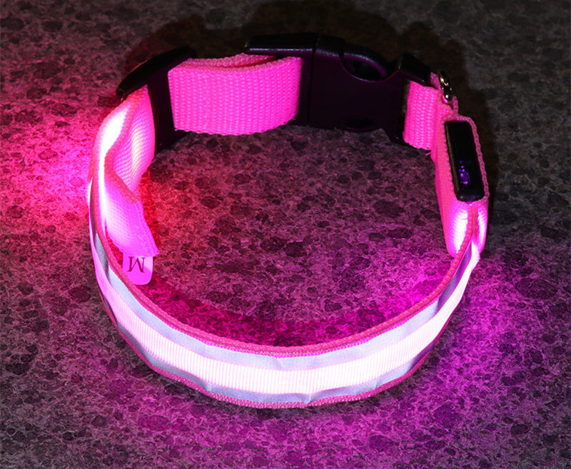 LED Leuchthalsband für Hunde, Sicherheitshalsband