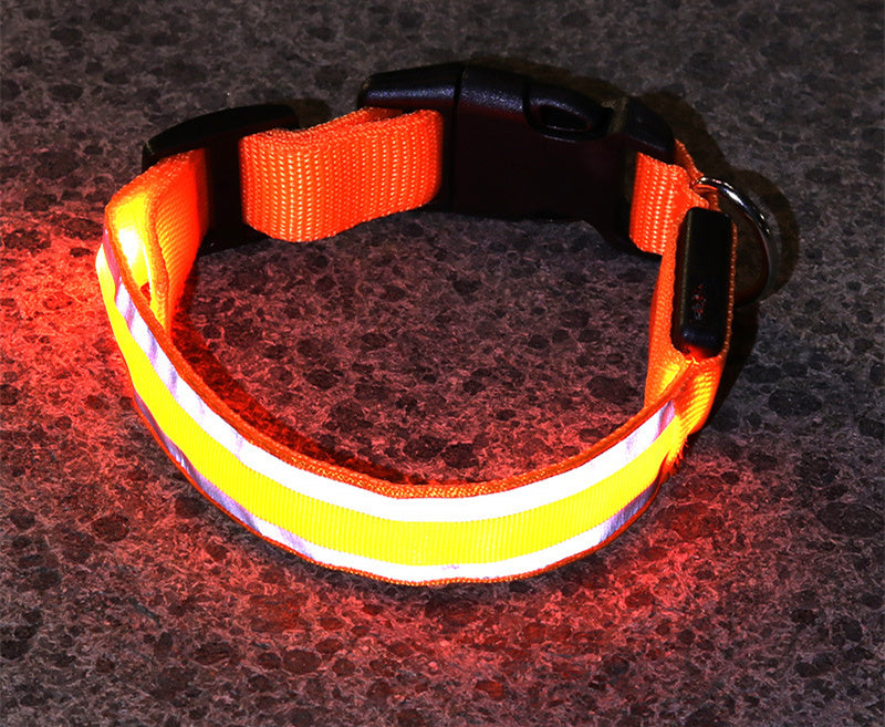 LED Leuchthalsband für Hunde, Sicherheitshalsband