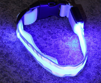 LED Leuchthalsband für Hunde, Sicherheitshalsband