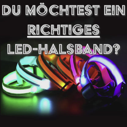 LED Leuchthalsband für Hunde, Sicherheitshalsband